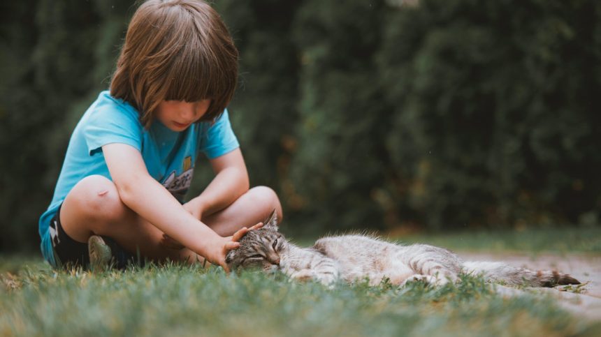 Ilustrační foto, zdroj Pexels.com