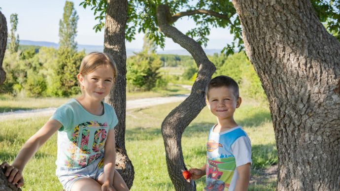 Ilustrační foto, zdroj Pexels.com